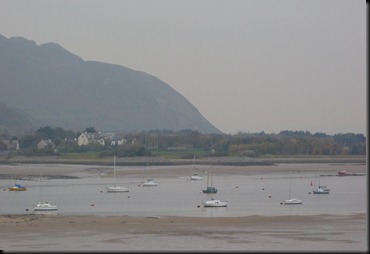 estuary 002