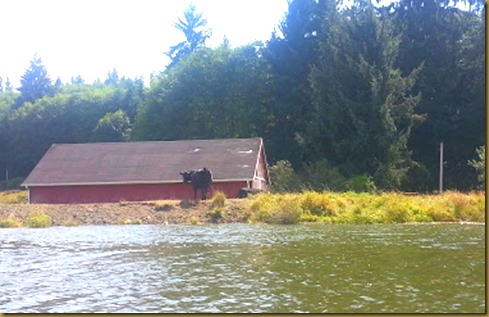 klaskanine river scene1