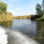 IMG_7970.JPG