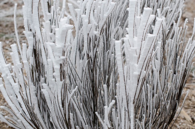 [December%2520Fun-35%255B15%255D.jpg]