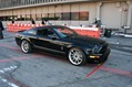 Shelby-Caroll-93