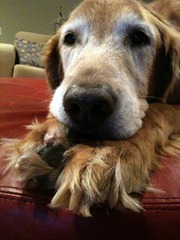IMG_0155 IMG_0155
