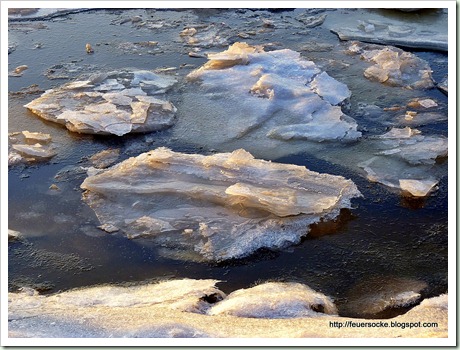 P1030950
