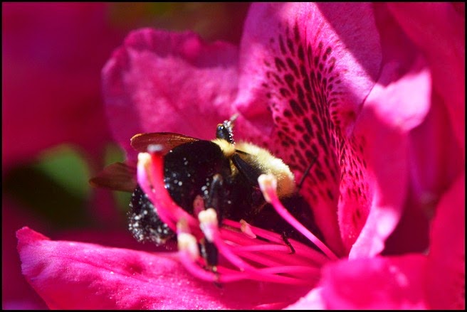 DSC_0196 DSC_0196