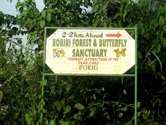 Bobiri Forest Butterfly Sanctuary (Ghana), 17 janvier 2006. Photo : Henrik Bloch