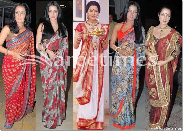 Celina_Jaitley_Sarees(2)