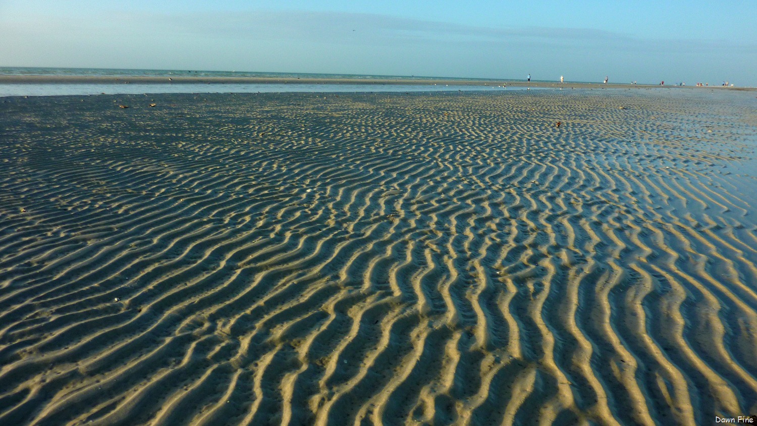[morning%2520sanibel_085%255B5%255D.jpg]