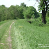 dsc06744.jpg