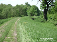 dsc06744.jpg