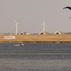 _MG_6410.jpg