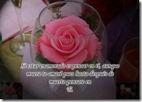 frases de amor (1) frases de amor (1)