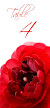 Table Numbers