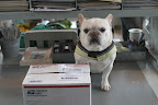 I see you just received a Priority Mail package.  Shall I guess what it contains?  Could it be seeds for the vegetable garden?