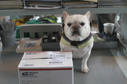 I see you just received a Priority Mail package. Shall I guess what it contains? Could it be seeds for the vegetable garden? I see you just received a Priority Mail package. Shall I guess what it contains? Could it be seeds for the vegetable garden?