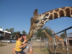 IMG_8657 IMG_8657