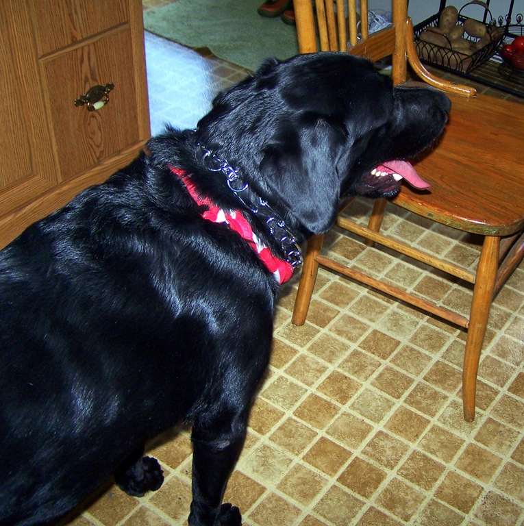 [100_00735.jpg]