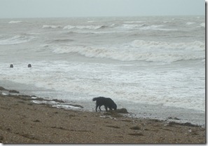 stormy sea 005 stormy sea 005