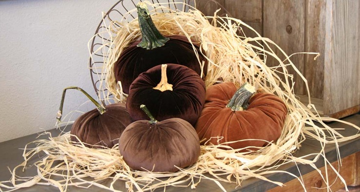 [pumpkins1%255B1%255D.jpg]