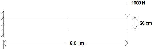 Rectangular 2 Element Mesh