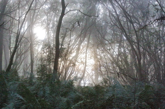 2014_1005_060913 2014_1005_060913