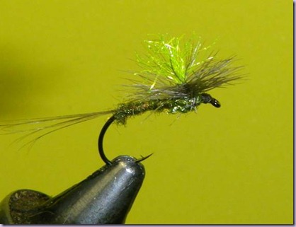 clip_image028 clip_image028