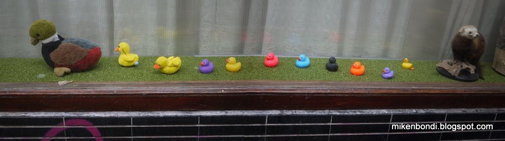 [spectrum-of-taxidermy-skills4.jpg]