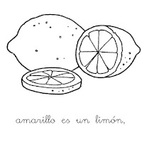 amarillo es un pollito_p02.jpg