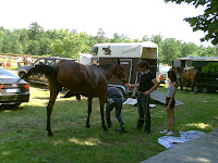 PICT0357.JPG