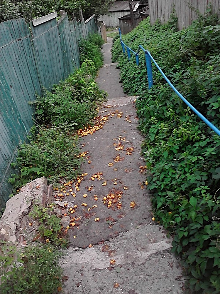 P300711_14.19.jpg