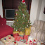  &ndash; 24-Dec-2008