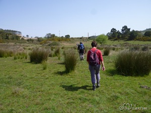 [P1140524%255B3%255D.jpg]