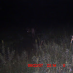 ICAM0078.JPG