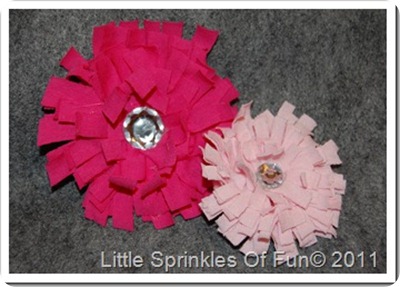 DSC_0175_thumb[16]