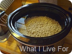 Cooking dried beans in the crock pot