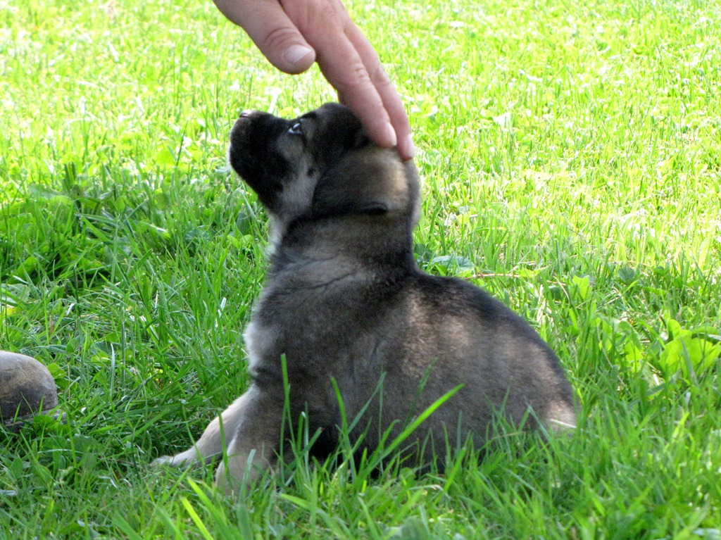 [IMG_5180%255B5%255D.jpg]