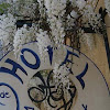 Chambres d'Hotes de Luxe