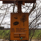 singold-bote_waldlehrpfad-schwabegg_046.jpg