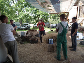 DSCF1811.JPG