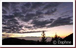 IMG_4699 IMG_4699