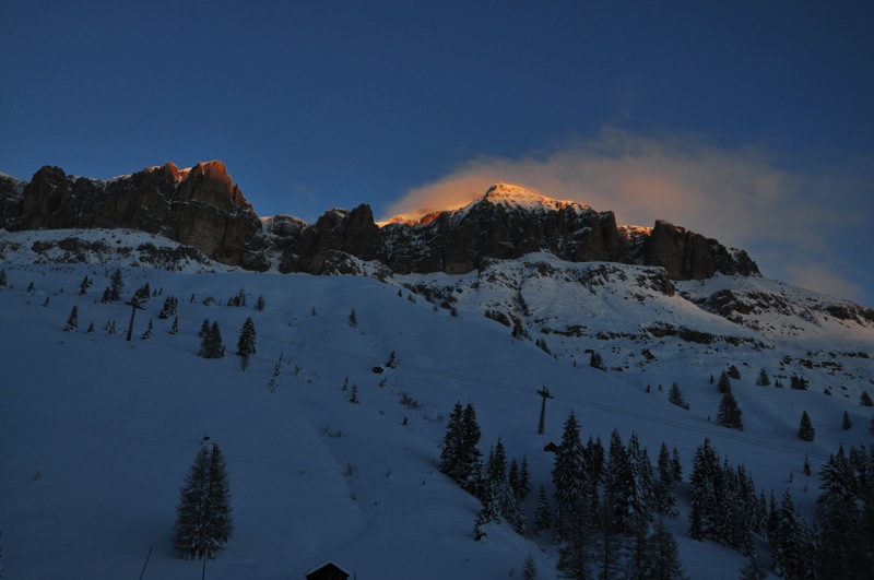 DSC_5931.JPG DSC 5931