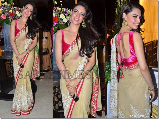 Embroidery_Shimmer_Faux_Georgette_Saree