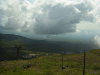 R0010483.JPG Photo