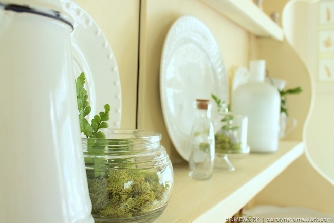 Moss and Fern Spring Decor via homework | carolynshomework.com