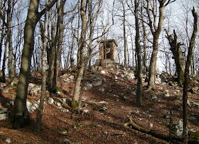 DSCN0945_resize.jpg