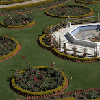 DSC_0124.jpg DSC_0124.jpg