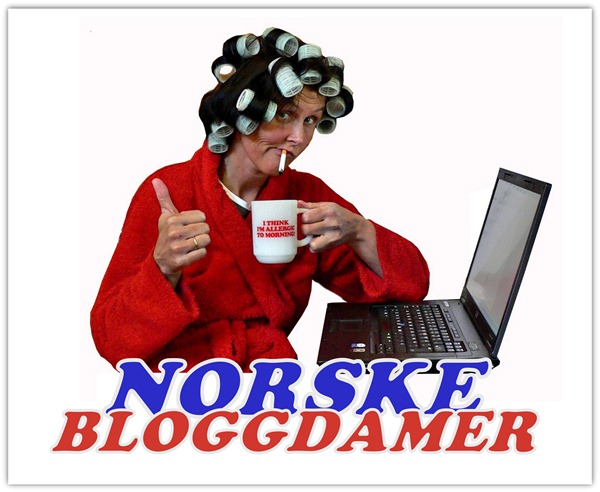 Norske bloggdamer 1
