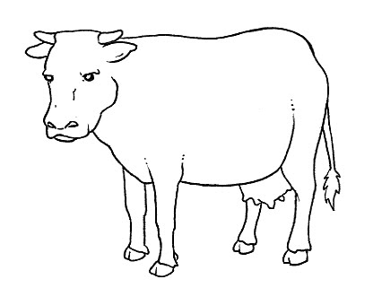 Animales domésticos para pintar