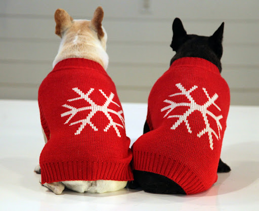 This is one sweater that you'll definitely want to pack for that family trip to the ski lodge!