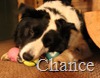 IMG_9861 IMG_9861