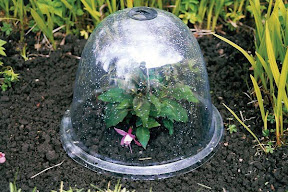 Original Victorian Bell on flower bed